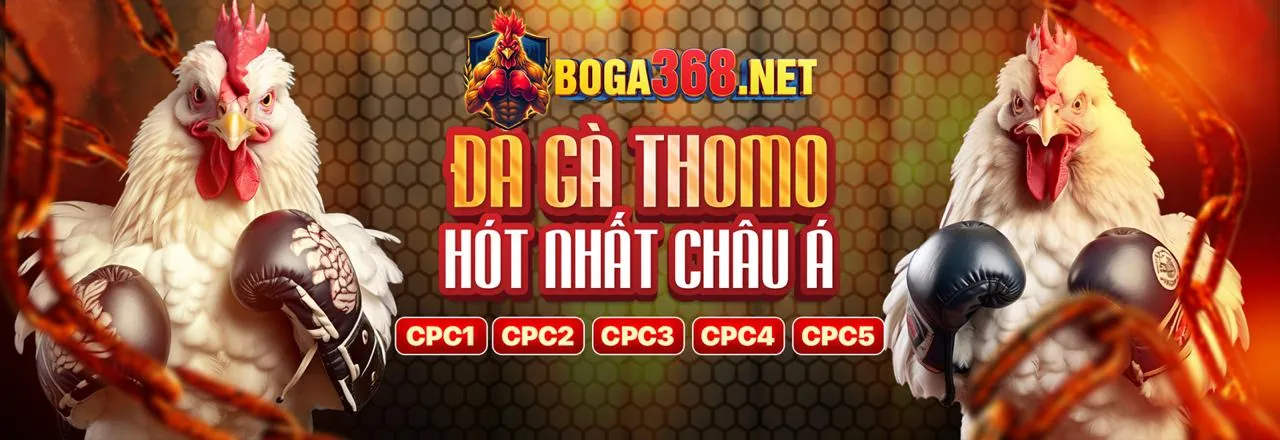 Cập nhật tin tức và sự kiện nhanh chóng