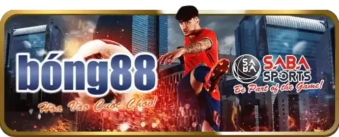 Các sự kiện và giải đấu độc quyền tf88 app